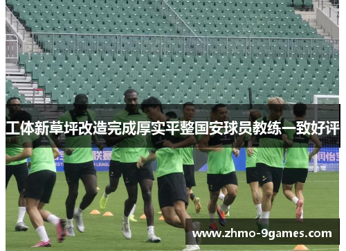 工体新草坪改造完成厚实平整国安球员教练一致好评